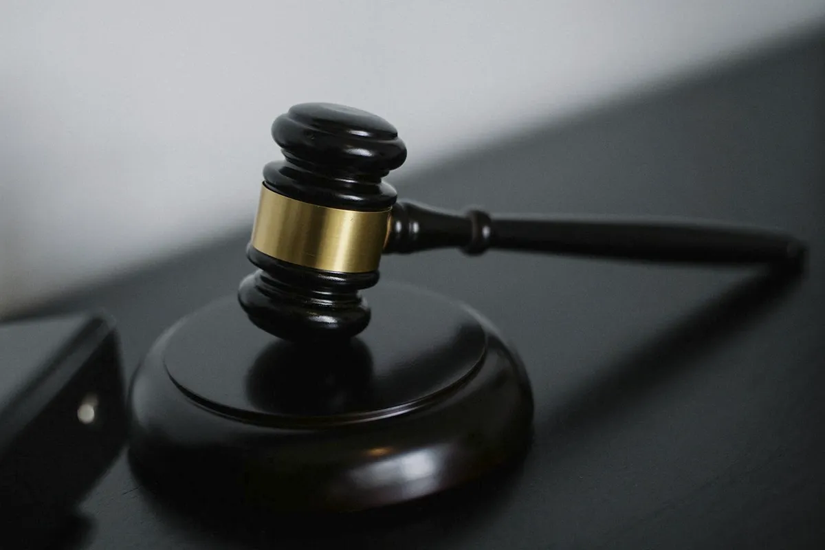 判例レビュー：第11巻第3号